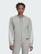 Adidas Sportswear Future Icons Women's Hooded Sweatshirt Gray