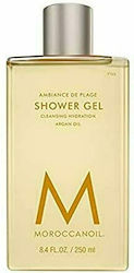 Moroccanoil Oud Mineral 250ml Moroccanoil Oud Mineral 250ml