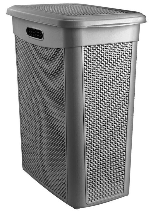 Viosarp Laundry Basket Plastic with Cap 46x29x55cm Gray