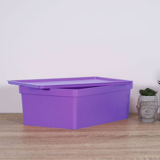 Viomes Nova Plastic Storage Box with Lid Amethyst 28x18.5x13.5cm