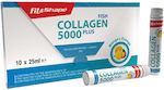 Collagen