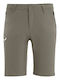 Salewa Talveno Durastrech Men's Hiking Short Trousers Beige