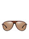 Moscow Mule Unisex Sunglasses with Brown Tartaruga Plastic Frame and Brown Polarized Lens MM/3308/3