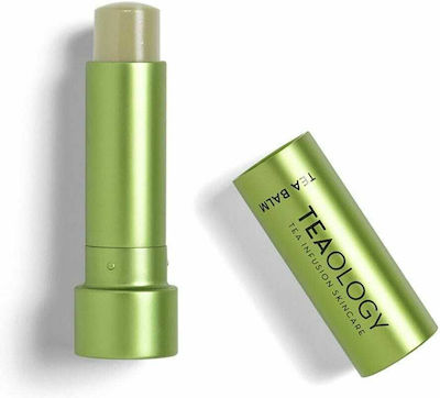 Teaology Matcha Tea Lip Balm 4gr