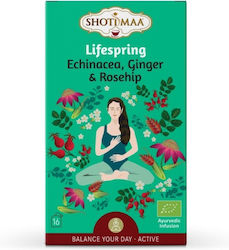 Shoti Maa Lifespring Μείγμα Βοτάνων Βιολογικό 16 Φακελάκια Shoti Maa Lifespring Μείγμα Βοτάνων Βιολογικό 16 Φακελάκια