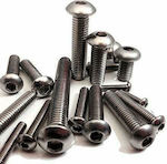 Allen Screw Inox DIN 7380 with Diameter M6 and Length 25mm