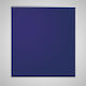 vidaXL Roller Blinds Total Blackout Blue W40xH100cm 240737