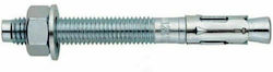 Vltools Ancore Cu Şurub 12x100mm