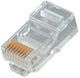 RJ-45 male Connector 100pcs