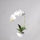 Supergreens Plantă Artificială în Ghiveci Orhidee Phalaenopsis Real Touch White 50cm 1buc