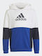 Kinder-Sweatshirt mit Kapuze Mehrfarbig Colorblock