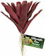 Zoomed Naturalistic Flora Fireball Bromeliad Zubehör für Reptilienterrarium