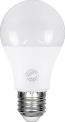 GloboStar LED-Lampe 8W für Fassung E27 Kühles Weiß