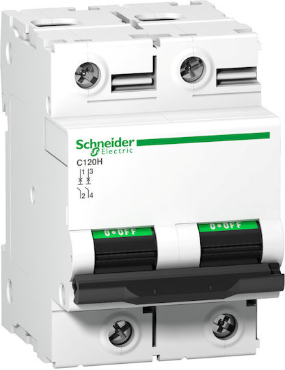 Schneider Electric Automatischer Schutzschalter 80A Zweipolig AC A9N18501