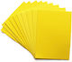 Colorfix Φύλλα Τσόχας 190F2030016