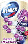 Klinex Блок Тоалетна с аромат Άγρια Μούρα 2x55гр