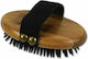 Bamboo Groom Brush for Misc Hair Lengths for Coat Grooming