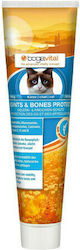 Bogacare Joints & Bones Protect Cat 100gr Vitamin Katze BOG.UBO.0316