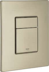 Grohe SKATE COSMOPOLITAN Flush Plate Dual Flush