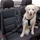 Kerbl Seatbelt Car for Dog Dog and Cat Chest Harness 70-90cm. Black