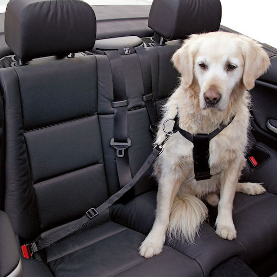 Kerbl Seatbelt Car for Dog Dog Chest Harness 80-110cm. Black