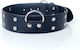 Kinksters Collar Collar With Studs 4cm Vegan Leather in Black Color