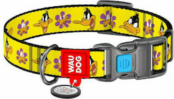 WauDog Looney Tunes Ошийник Large 25мм x 35 - 58см (Различни Дизайни) WauDog Looney Tunes Ошийник Large 25мм x 35 - 58см (Различни Дизайни)
