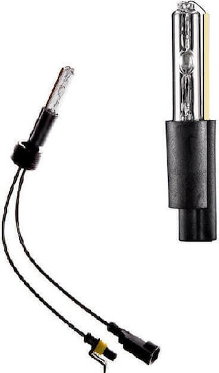 Carner Lamps Car Xenon 6000K Cold White 1pcs