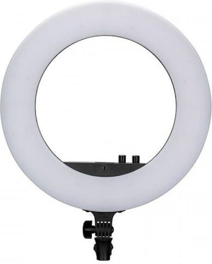 Nanlite NL-HL18 Ringlicht 46cm 2700 - 6500K mit Handyhalter