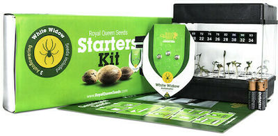 Royal Queen Seeds Starter Kit Samen