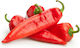 Evotris Seeds Peppers Florina 1gr/130pcs
