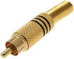 RCA male Connector 1pc