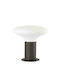 Faro Barcelona Blubs Outdoor Floor Lamp Small Post 15W for E27 Black