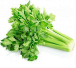 Geniki Fytotechniki Athinon Seeds Celery 4gr