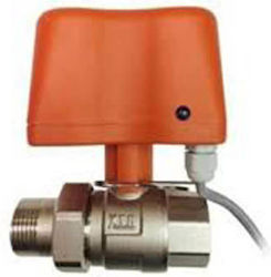 NX838 Two-Way Gas Solenoid Valve ¾"