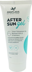 Anaplasis Gel 100ml Anaplasis Gel 100ml