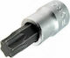 Force Walnut with Torx Head and Socket 1/4'' Size T40 1pcs