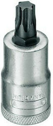 Balchement Bit-Stecknuss mit Torx-Bit und Antriebsvierkant 1/2'' Größe T20 1Stück Balchement Bit-Stecknuss mit Torx-Bit und Antriebsvierkant 1/2'' Größe T20 1Stück