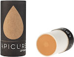 Apicure Lip Balm 100% Natural 15gr