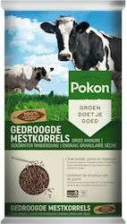 Getrockneter Kuhmist Pokon 5Kg