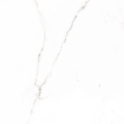 Ravenna Palatina Blanco Brillo 034007 Placă Podea / Perete Interior din Granit Lucios 60.5x60.5cm Alb