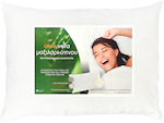 Family Enterprise Aloe Vera Sleep Pillow Polyester Medium 50x70cm