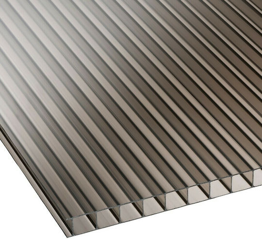Showood Foaie din policarbonat L3xW2.1m cu Grosime 4mm 210996-3