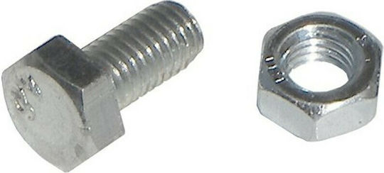 Dimitroulakos Screw Hexagon Metallic