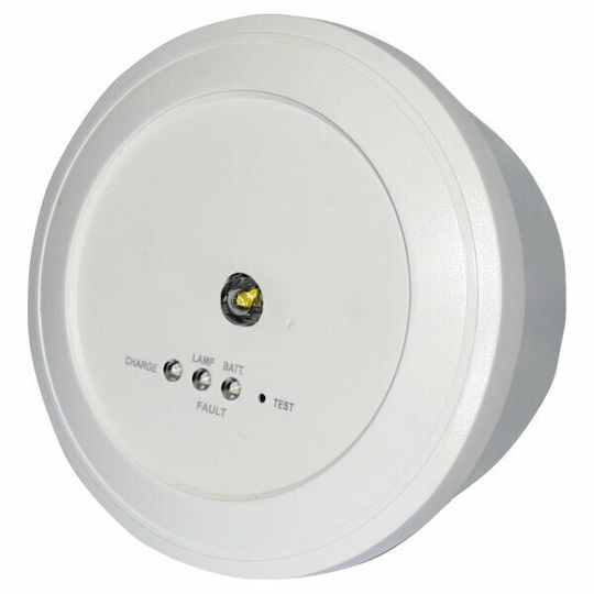 Olympia Electronics LED Notfall-Sicherheitsleuchte mit Batteriebetrieben GR-293 1Stück