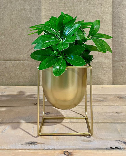 JK Home Decoration Horus Κασπώ Μεταλλικό Χρυσό