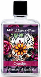 Tcheon Fung Sing After Shave Roses Rosehip 100ml
