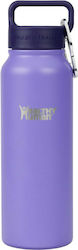 Healthy Human Stein Bottle Recyclable Thermos B...