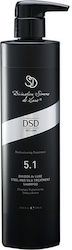 DSD de Luxe 5.1 Dixidox De Luxe Stahl & Seide Shampoo 500ml