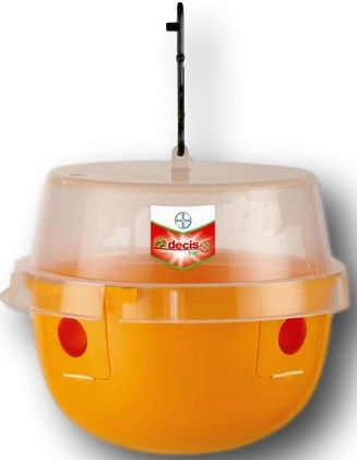Bayer Decis Trap Dacus Gartenzubehör